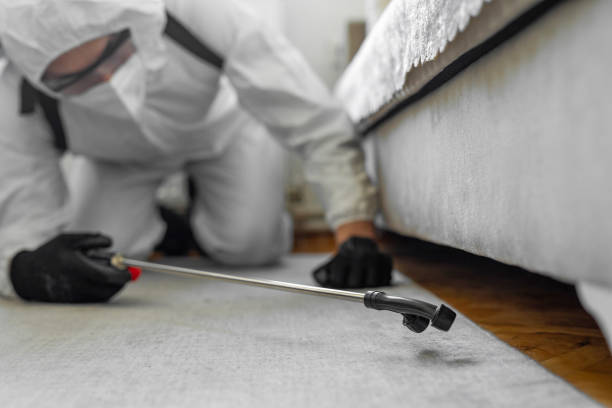 Professional Bed Bug Control technician working in Jasper County County, MO